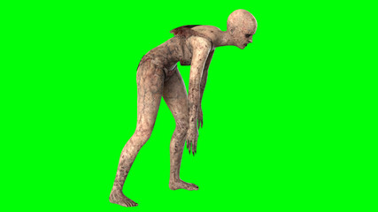 Walking dead zombie woman isolated on green screen