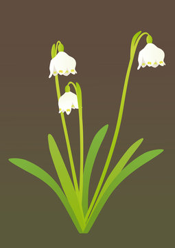 Spring snowflake