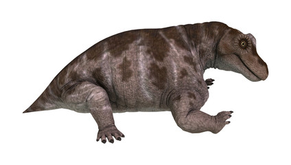 Fototapeta na wymiar Dinosaur Keratocephalus