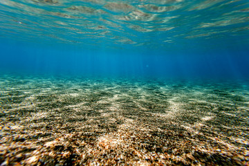 Fototapeta na wymiar background sand on the beach underwater
