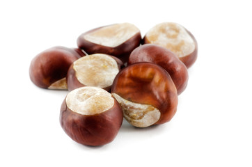 Frucht bzw. Samen der Gewöhnlichen Rosskastanie