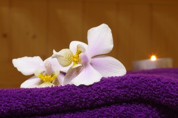 Fototapeta na wymiar Sauna mit weißen Orchideen