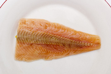 Salmon on a white plate