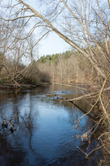 scenic spring colored river in country