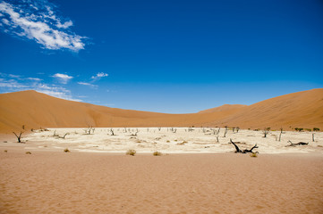 Sossusvlei, Namibia, Africa
