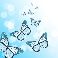 Fototapeta na wymiar Butterfly background