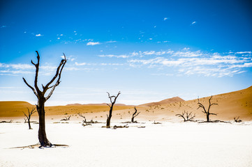Fototapeta na wymiar Deadvlei, Sossusvlei,Namibia