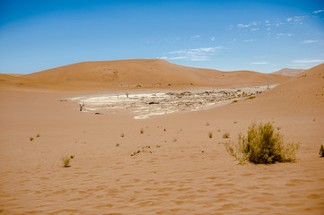 Deadvlei, Sossusvlei,Namibia