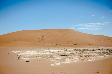 Deadvlei, Sossusvlei,Namibia