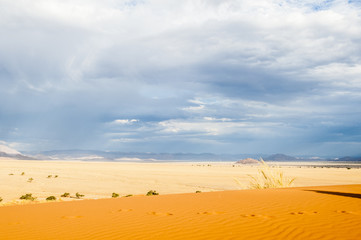 Sossusvlei, Namibia, Africa