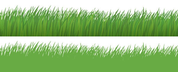 Grass