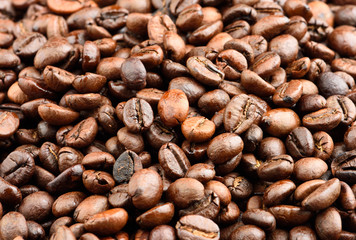 Close-up of coffee bean
