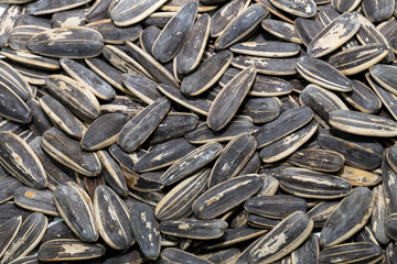 Sun flower seed