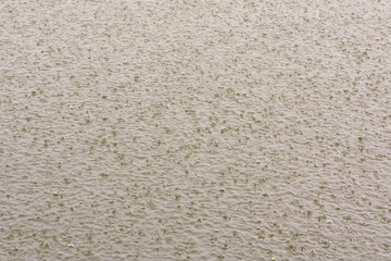 Water surface with heavily raining drops