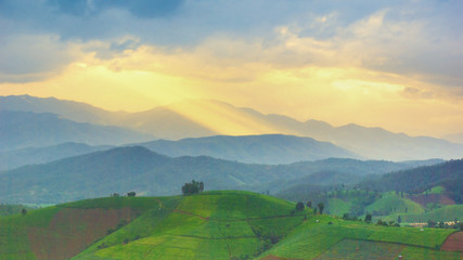 Fototapeta premium Landscape sunset background