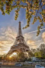 Gordijnen Eiffel Tower with spring tree in Paris, France © Tomas Marek
