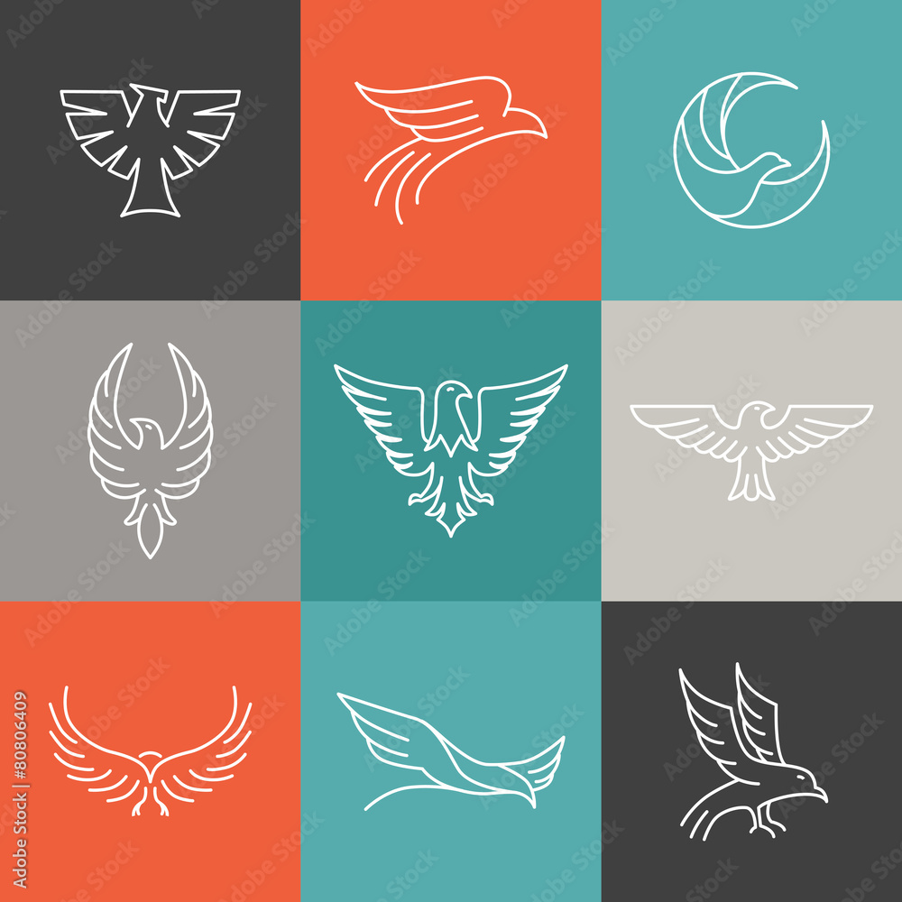 Poster vector eagle and falcon linear logos