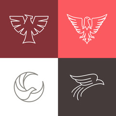 Vector eagle and falcon linear logos