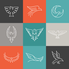 Fototapeta na wymiar Vector eagle and falcon linear logos