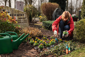 Planting flowers on a grave in spring