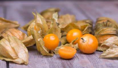 physalis
