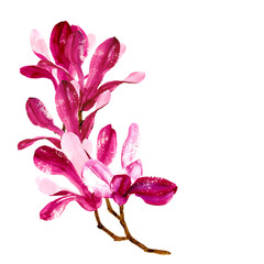 Fototapeta premium Vector background with red watercolor magnolia