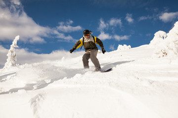 snowboarder freerider