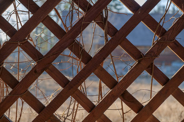 wooden lattice trellis