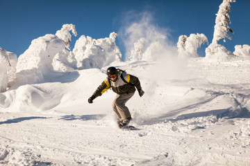 snowboarder freerider