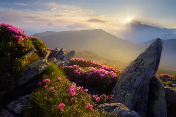 Foto op Canvas Morning in the Mountains © Oleksandr Kotenko