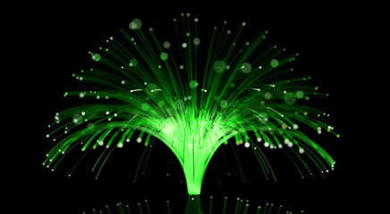 Optical fiber