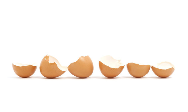 Shells in a row