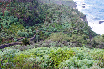 Küstenwanderung von Puerto de la Cruz zum Mirrador San Pedro