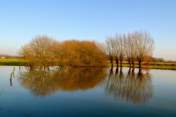 lake in Belgian countryside