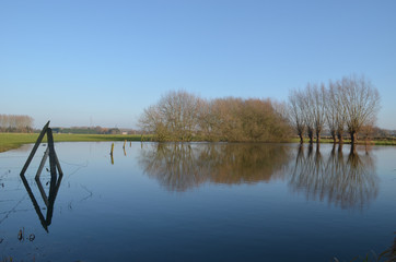 lake in Belgian countryside