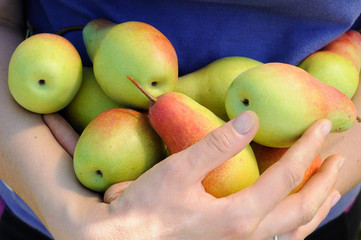 armful of pears