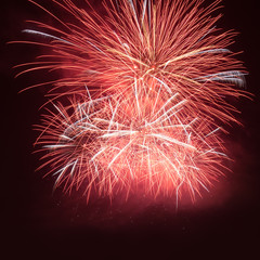 Fireworks in the night sky