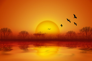 Obraz premium romantischer Sommer Sonnenuntergang an Wasser