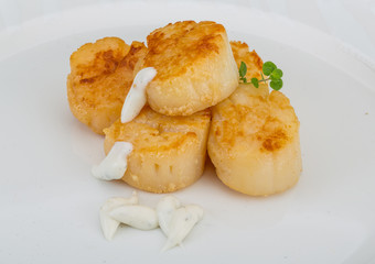 Grilled scallops