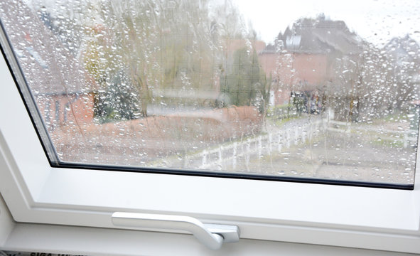 fenster