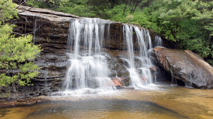 Fototapeta premium Valley of the Waters, Blue Mountains, Australien