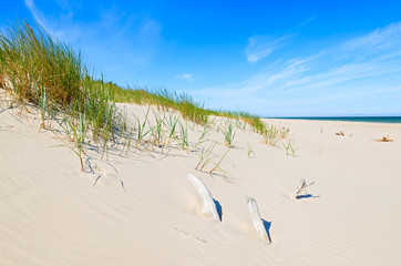 Grass on dune on beautiful Baltic Sea beach near Leba, Poland