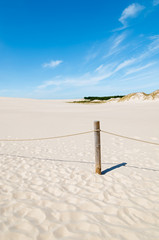 Wooden poles on sand dune in Slowinski National Park, Poland
