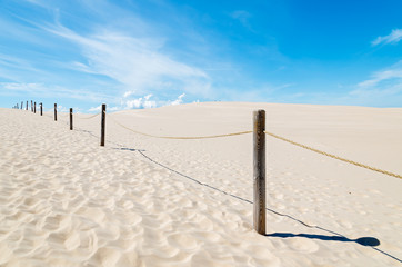 Wooden poles on sand dune in Slowinski National Park, Poland