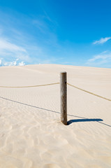 Wooden poles on sand dune in Slowinski National Park, Poland