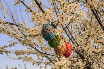 Easter eggs in a tree