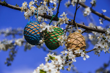 Easter eggs in a tree