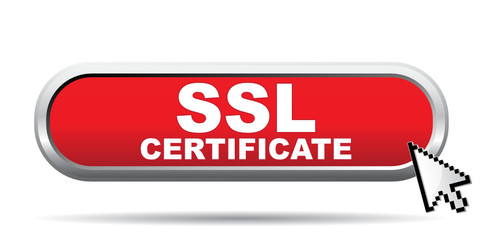 SSL CERTIFICATE ICON