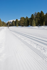 Obraz premium man skiing in the snow during a beautiful day