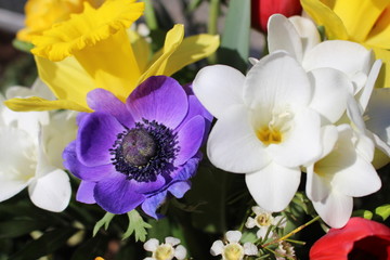 coloured bouquet